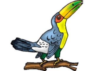 Sticker Custom Preview Image #017325 Animals Birds Toucan07