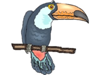 Sticker Custom Preview Image #017330 Animals Birds Toucan12