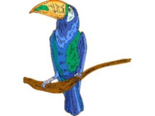 Sticker Custom Preview Image #017334 Animals Birds Toucan16