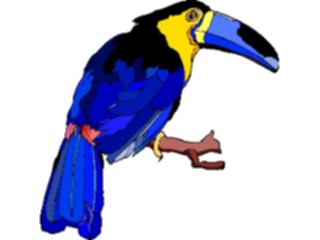 Sticker Custom Preview Image #017335 Animals Birds Toucan17