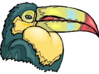 Sticker Custom Preview Image #017337 Animals Birds Toucan19