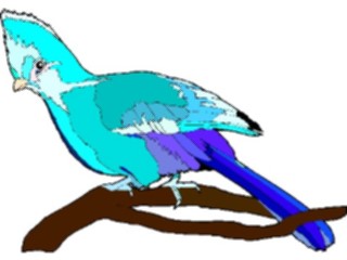 Sticker Custom Preview Image #017342 Animals Birds Turaco