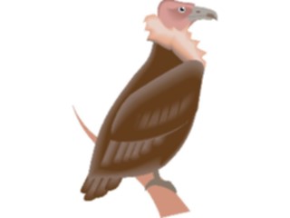 Sticker Custom Preview Image #017349 Animals Birds Vulture2