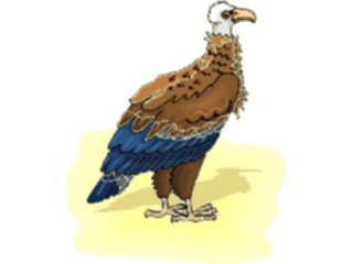 Sticker Custom Preview Image #017350 Animals Birds Vulture3