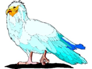 Sticker Custom Preview Image #017352 Animals Birds Vulture5