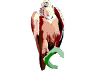 Sticker Custom Preview Image #017354 Animals Birds Vulture7