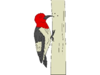 Sticker Custom Preview Image #017362 Animals Birds Woodpecker01