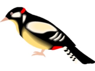 Sticker Custom Preview Image #017363 Animals Birds Woodpecker02