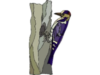 Sticker Custom Preview Image #017367 Animals Birds Woodpecker06