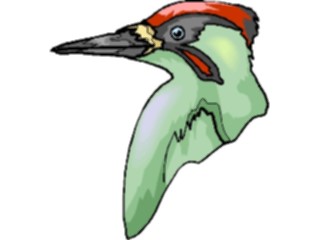 Sticker Custom Preview Image #017369 Animals Birds Woodpecker08