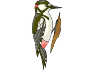 Sticker Custom Preview Image #017370 Animals Birds Woodpecker09