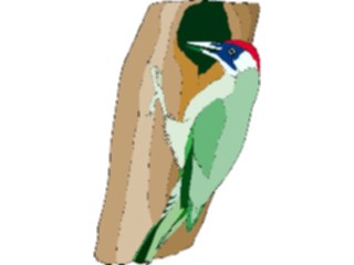 Sticker Custom Preview Image #017375 Animals Birds Woodpecker14