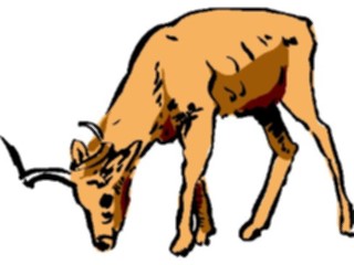 Sticker Custom Preview Image #017399 Animals Brush Stroke Antelope14