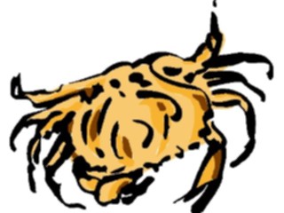 Sticker Custom Preview Image #017448 Animals Brush Stroke Crab