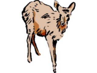 Sticker Custom Preview Image #017451 Animals Brush Stroke Deer2