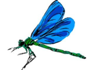 Sticker Custom Preview Image #017471 Animals Brush Stroke Dragonfly