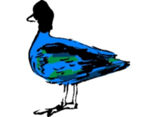 Sticker Custom Preview Image #017472 Animals Brush Stroke Duck Loon