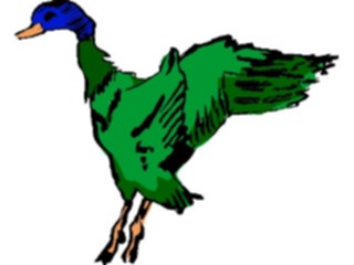 Sticker Custom Preview Image #017474 Animals Brush Stroke Duck Mallard2