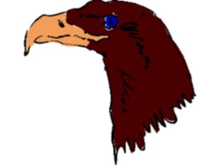 Sticker Custom Preview Image #017475 Animals Brush Stroke Eagle