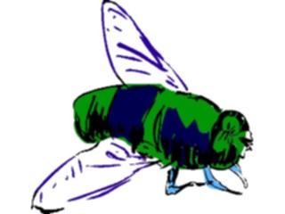 Sticker Custom Preview Image #017483 Animals Brush Stroke Fly1