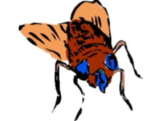 Sticker Custom Preview Image #017484 Animals Brush Stroke Fly2