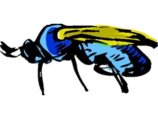 Sticker Custom Preview Image #017485 Animals Brush Stroke Fly3