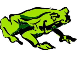 Sticker Custom Preview Image #017488 Animals Brush Stroke Frog