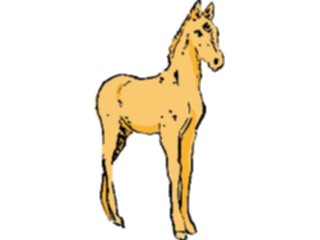Sticker Custom Preview Image #017494 Animals Brush Stroke Horse Foal