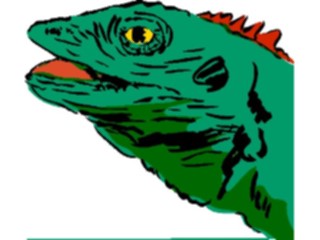 Sticker Custom Preview Image #017500 Animals Brush Stroke Lizard2