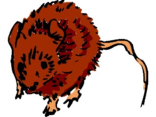 Sticker Custom Preview Image #017503 Animals Brush Stroke Mouse