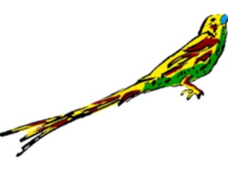 Sticker Custom Preview Image #017506 Animals Brush Stroke Parrot1