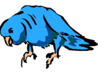 Sticker Custom Preview Image #017507 Animals Brush Stroke Parrot2