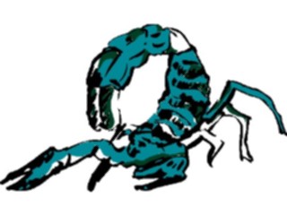 Sticker Custom Preview Image #017515 Animals Brush Stroke Scorpion