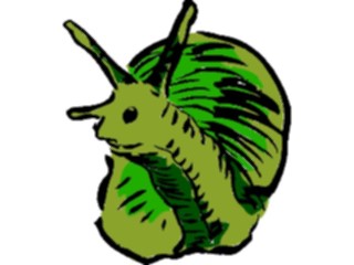 Sticker Custom Preview Image #017519 Animals Brush Stroke Snail