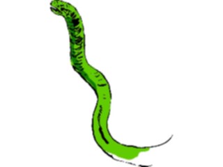 Sticker Custom Preview Image #017520 Animals Brush Stroke Snake