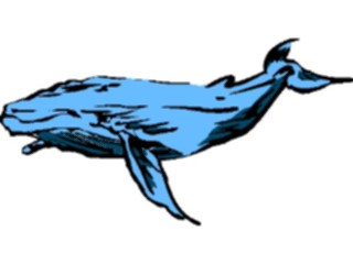 Sticker Custom Preview Image #017526 Animals Brush Stroke Whale