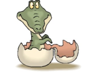 Sticker Custom Preview Image #017558 Animals Cartoons Alligator Hatching