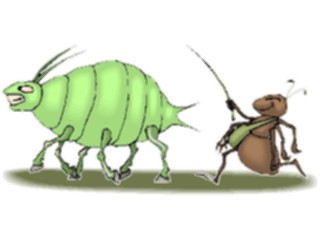 Sticker Custom Preview Image #017596 Animals Cartoons Ant Hearding Aphid