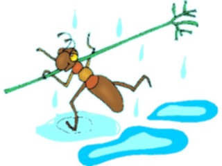 Sticker Custom Preview Image #017606 Animals Cartoons Ant Running Through Rain