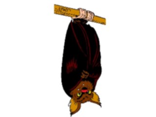 Sticker Custom Preview Image #017655 Animals Cartoons Bat Hanging