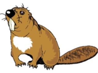 Sticker Custom Preview Image #017818 Animals Cartoons Beaver6