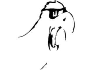 Sticker Custom Preview Image #018001 Animals Cartoons Bird Wearing Shades