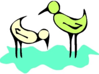Sticker Custom Preview Image #018015 Animals Cartoons Birds1