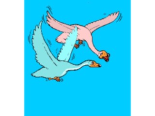 Sticker Custom Preview Image #018017 Animals Cartoons Birds3