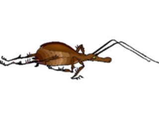 Sticker Custom Preview Image #018067 Animals Cartoons Bug Crawling