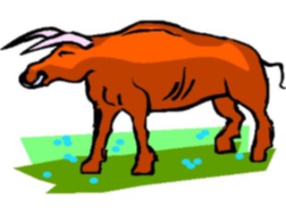 Sticker Custom Preview Image #018093 Animals Cartoons Bull19