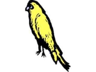 Sticker Custom Preview Image #018218 Animals Cartoons Canary