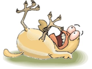 Sticker Custom Preview Image #018641 Animals Cartoons Chick Scared