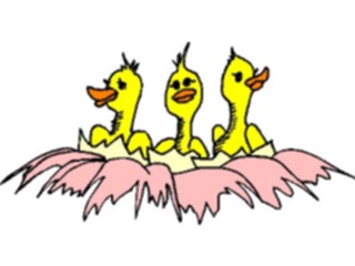 Sticker Custom Preview Image #018690 Animals Cartoons Chicks Hatching1