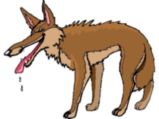 Sticker Custom Preview Image #018809 Animals Cartoons Coyote Hungry